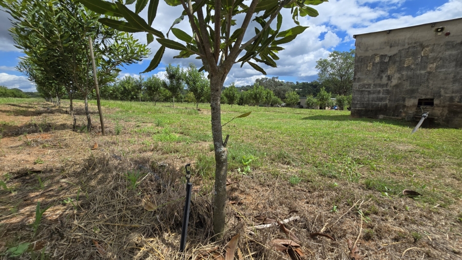 0 Bedroom Property for Sale in White River Rural Mpumalanga