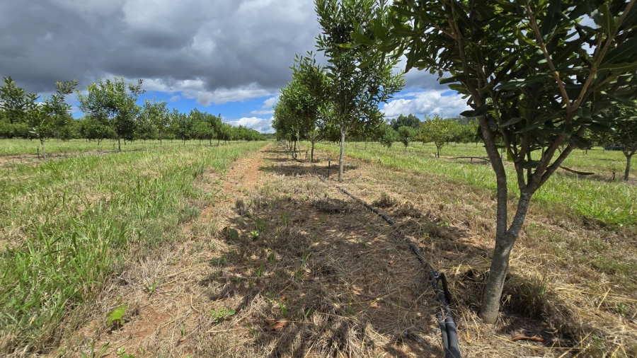 0 Bedroom Property for Sale in White River Rural Mpumalanga