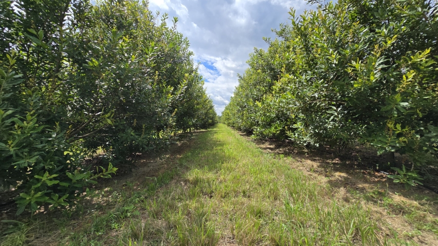 0 Bedroom Property for Sale in White River Rural Mpumalanga