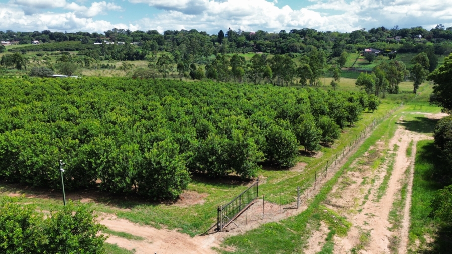 0 Bedroom Property for Sale in White River Rural Mpumalanga