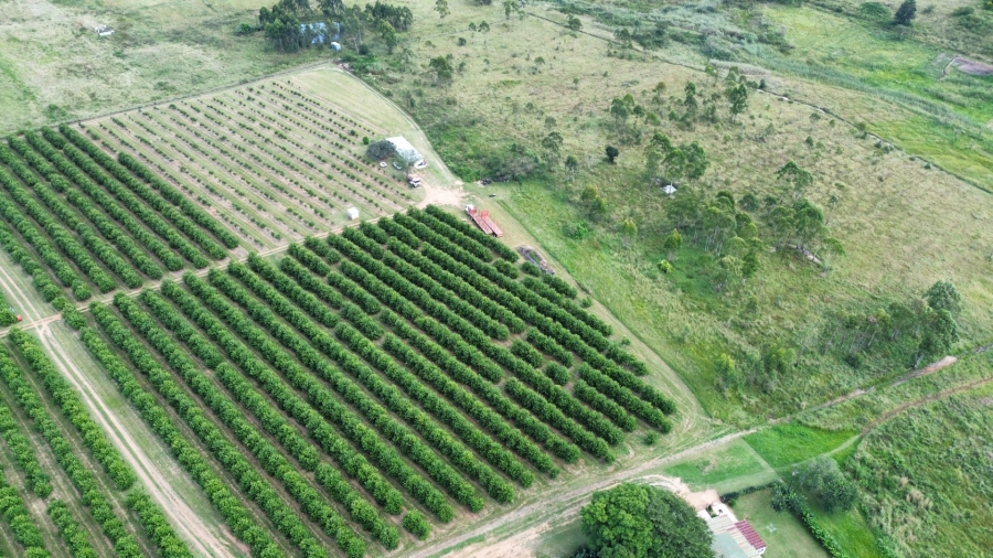 0 Bedroom Property for Sale in White River Rural Mpumalanga