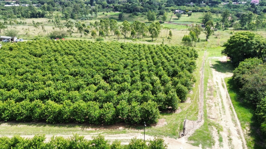 0 Bedroom Property for Sale in White River Rural Mpumalanga