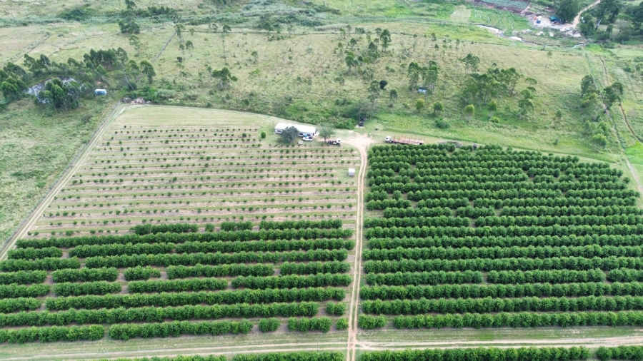 0 Bedroom Property for Sale in White River Rural Mpumalanga