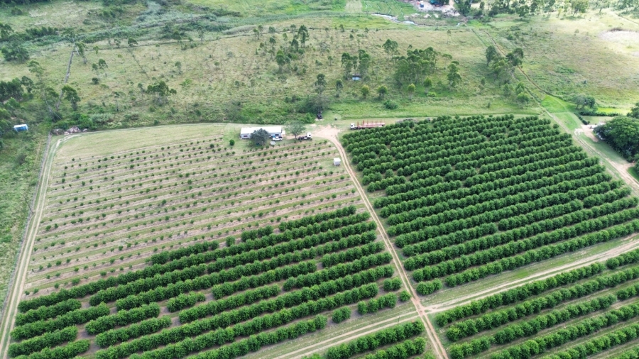 0 Bedroom Property for Sale in White River Rural Mpumalanga