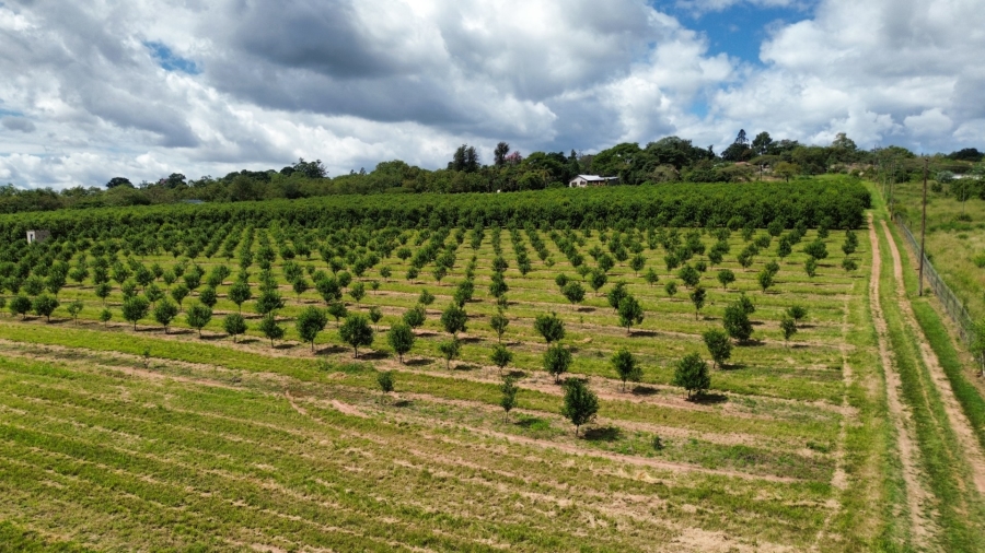 0 Bedroom Property for Sale in White River Rural Mpumalanga