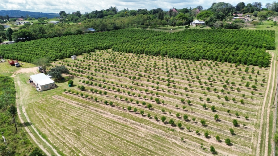 0 Bedroom Property for Sale in White River Rural Mpumalanga