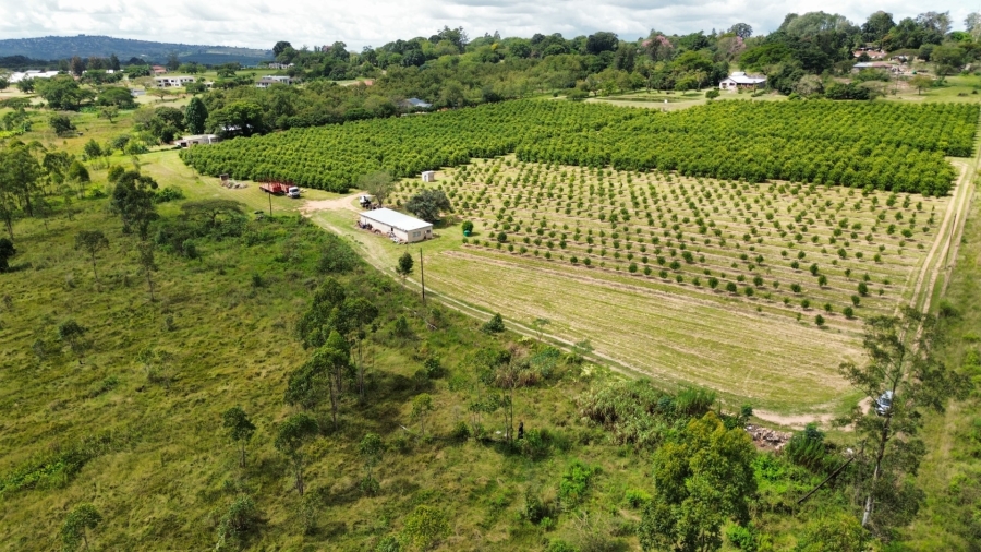 0 Bedroom Property for Sale in White River Rural Mpumalanga