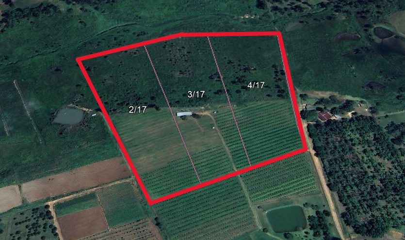 0 Bedroom Property for Sale in White River Rural Mpumalanga