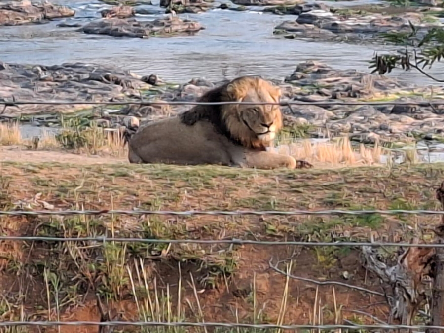 Commercial Property for Sale in Malelane Mpumalanga