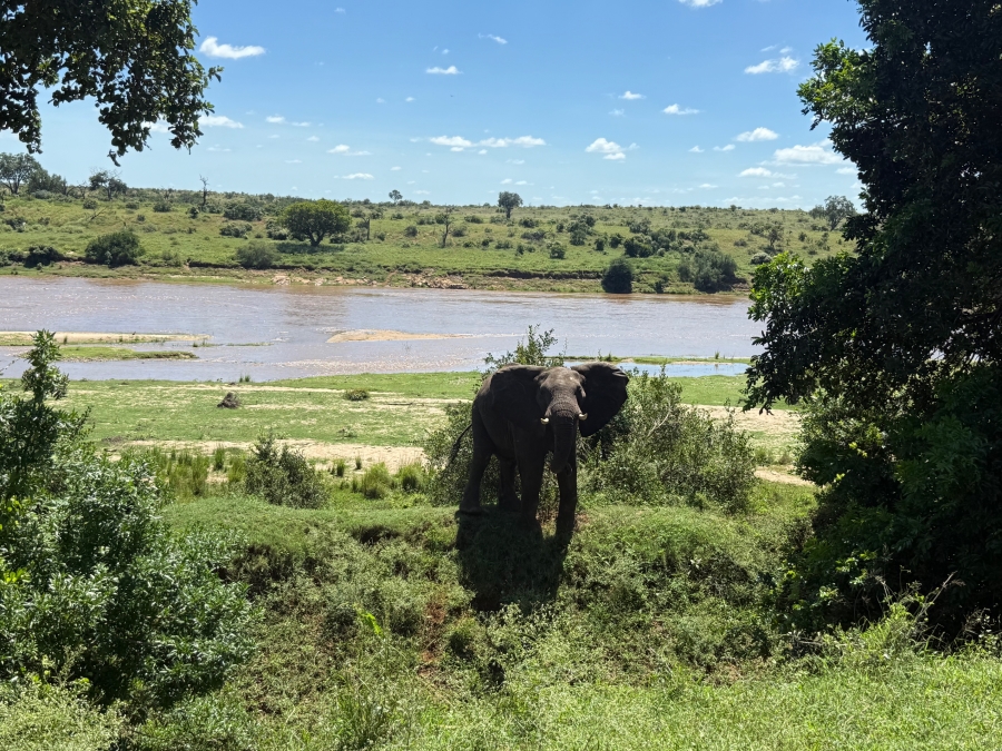 Commercial Property for Sale in Malelane Mpumalanga