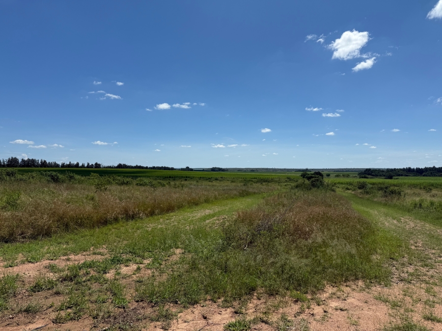 Commercial Property for Sale in Malelane Mpumalanga