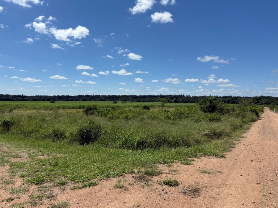 Commercial Property for Sale in Malelane Mpumalanga