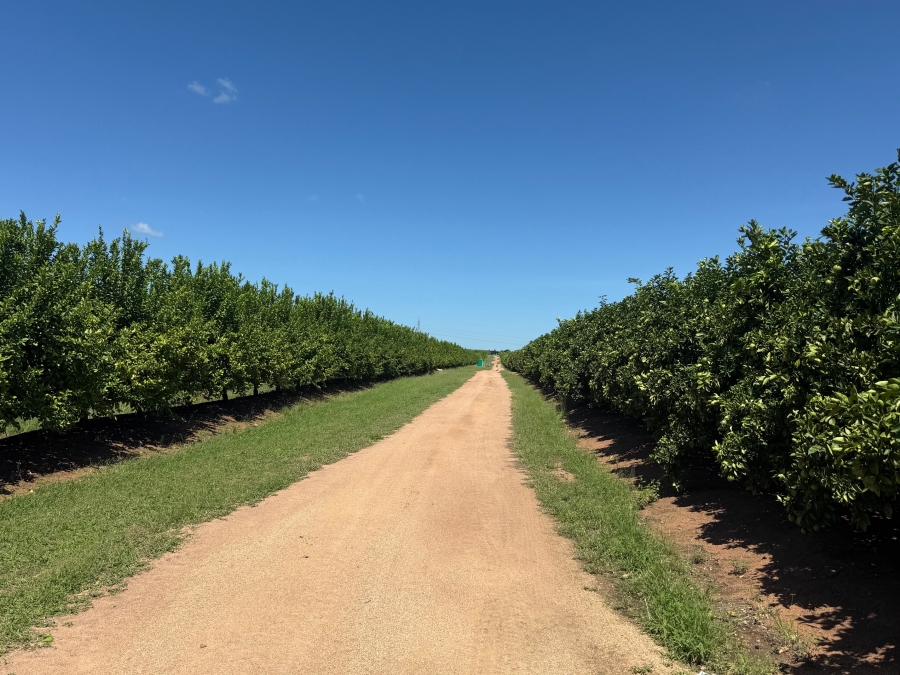 Commercial Property for Sale in Malelane Mpumalanga