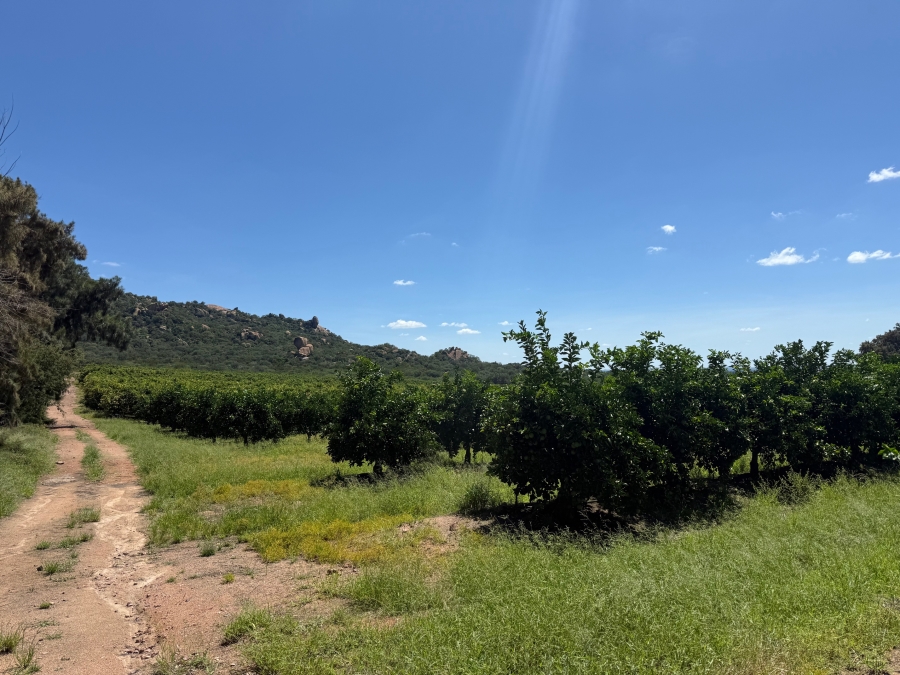 Commercial Property for Sale in Malelane Mpumalanga