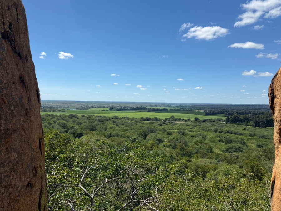 Commercial Property for Sale in Malelane Mpumalanga