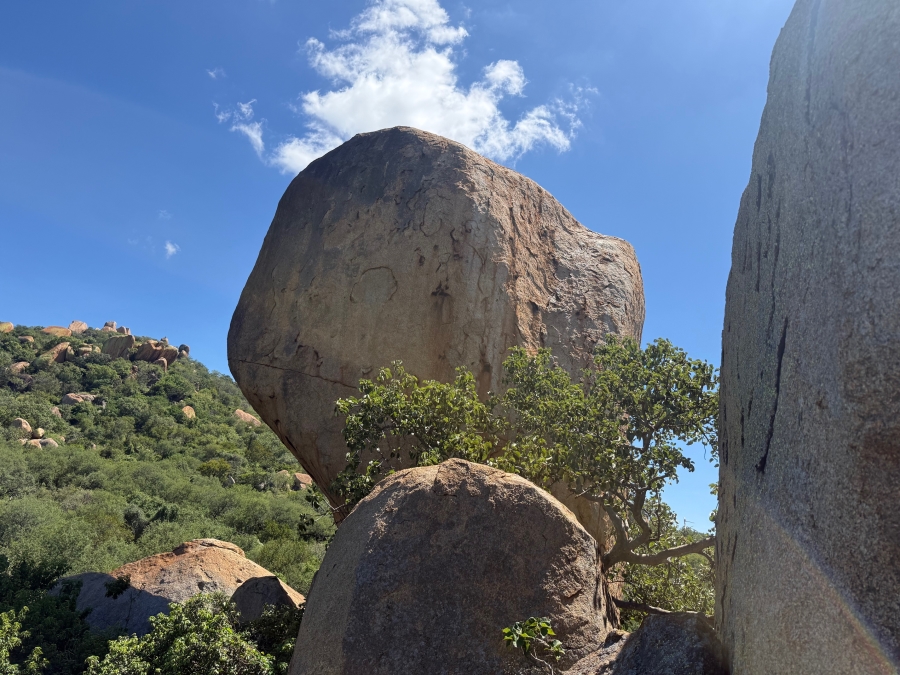 Commercial Property for Sale in Malelane Mpumalanga