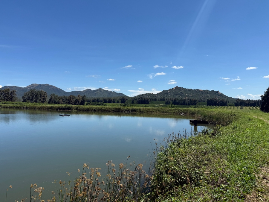 Commercial Property for Sale in Malelane Mpumalanga