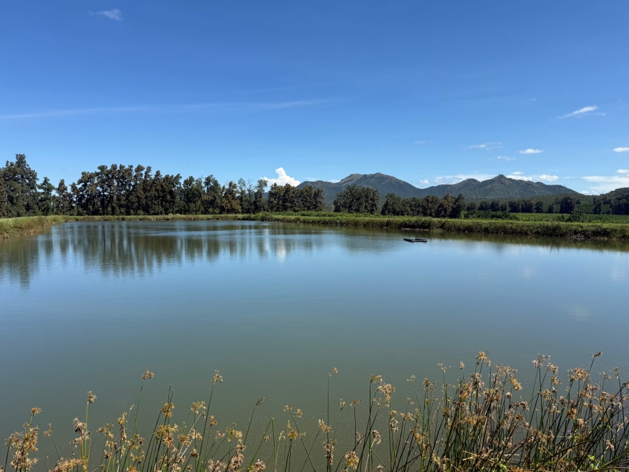 Commercial Property for Sale in Malelane Mpumalanga