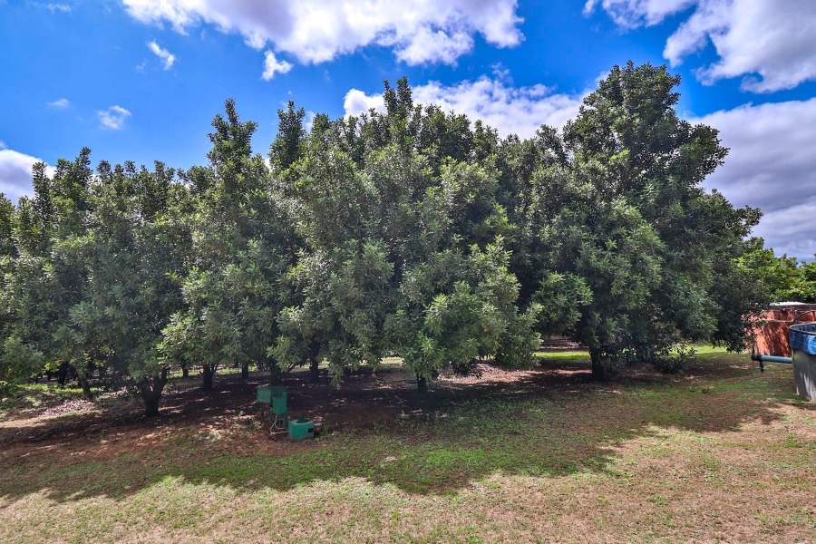 Commercial Property for Sale in Hilltop AH Mpumalanga