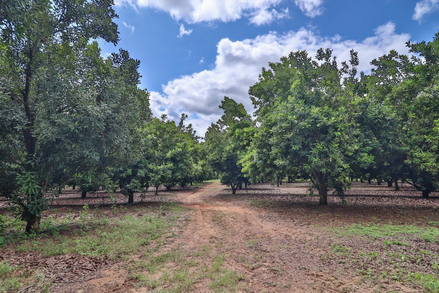 Commercial Property for Sale in Hilltop AH Mpumalanga