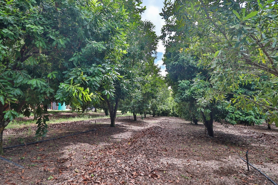 Commercial Property for Sale in Hilltop AH Mpumalanga