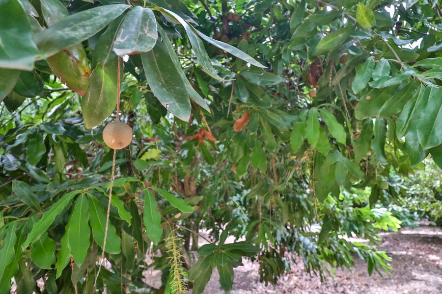 Commercial Property for Sale in Hilltop AH Mpumalanga