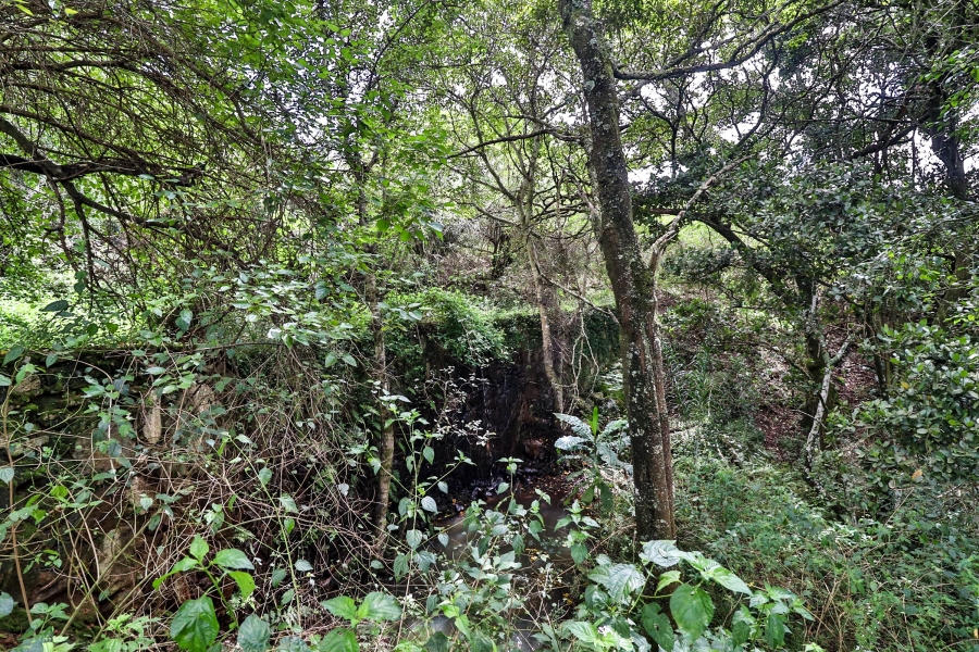 Commercial Property for Sale in Hilltop AH Mpumalanga