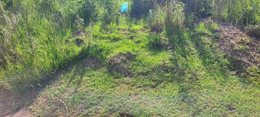 0 Bedroom Property for Sale in Mineralia Mpumalanga