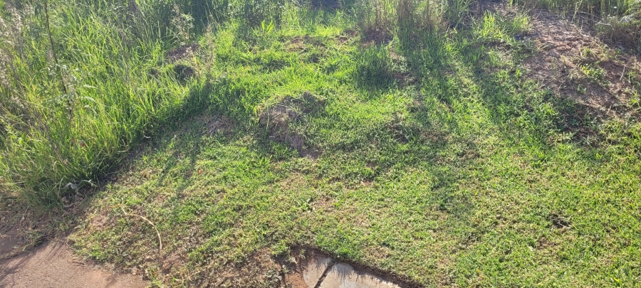 0 Bedroom Property for Sale in Mineralia Mpumalanga