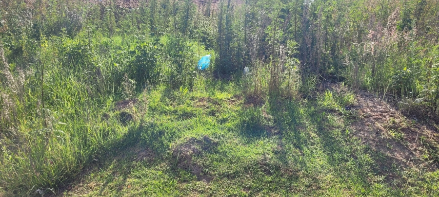 0 Bedroom Property for Sale in Mineralia Mpumalanga