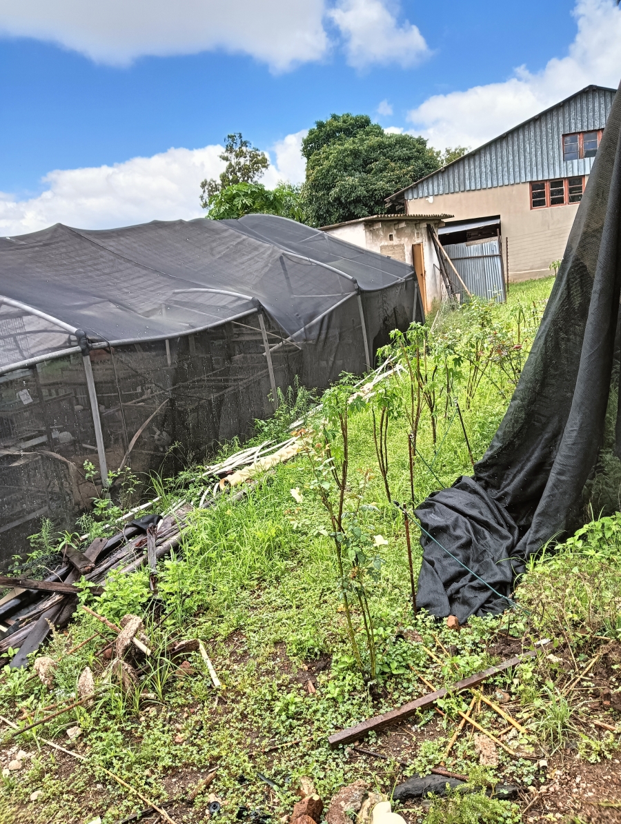 Commercial Property for Sale in White River Mpumalanga