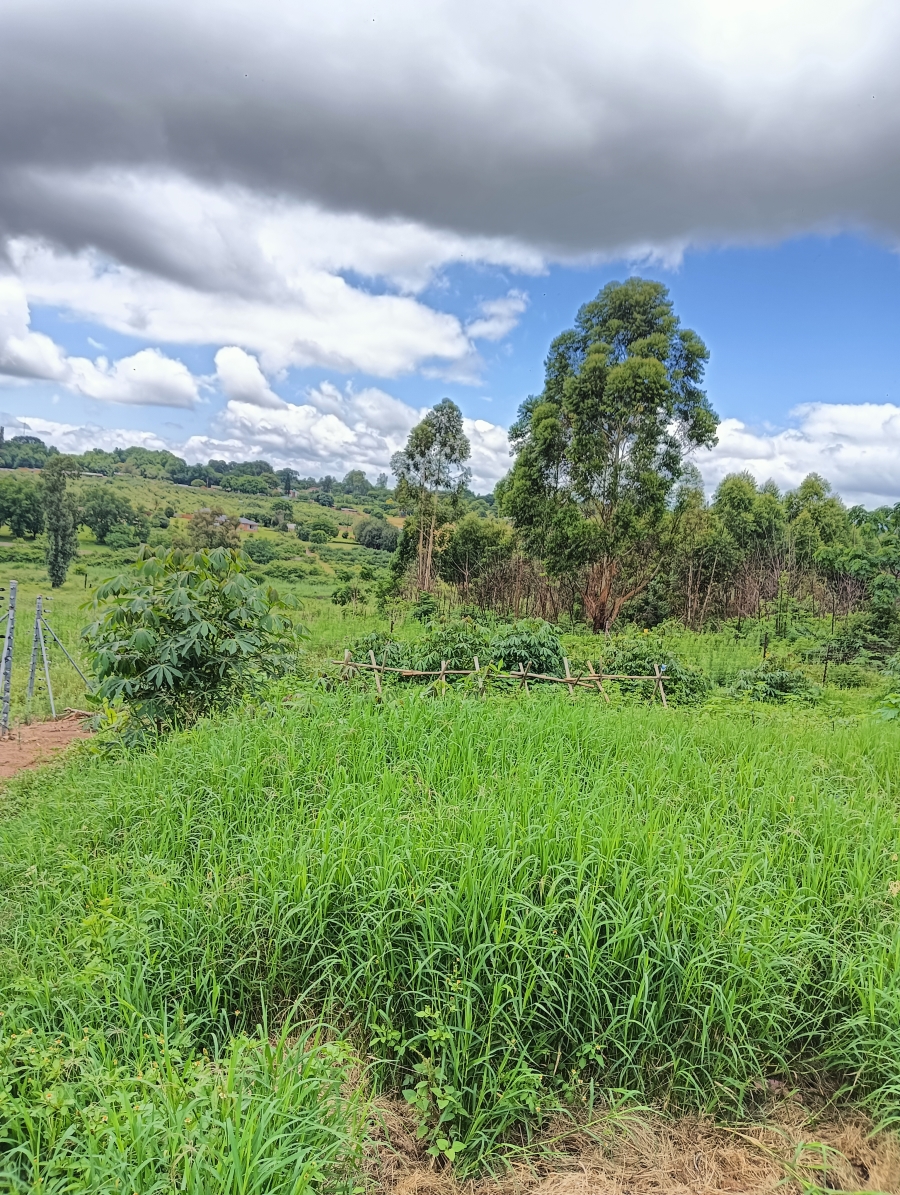Commercial Property for Sale in White River Mpumalanga