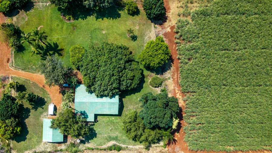 Commercial Property for Sale in Malelane Rural Mpumalanga