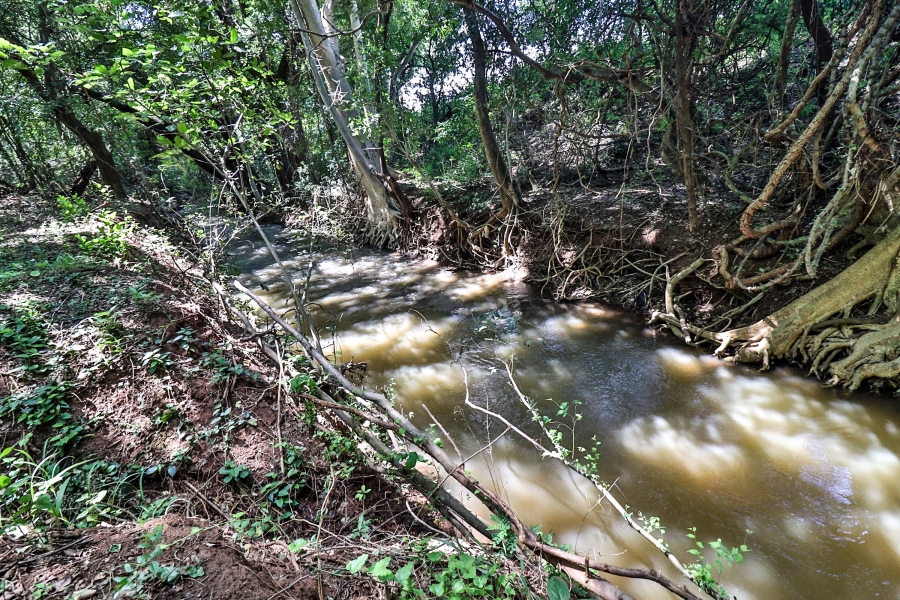 Commercial Property for Sale in Malelane Rural Mpumalanga
