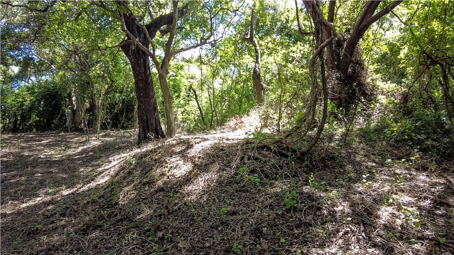 Commercial Property for Sale in Malelane Rural Mpumalanga