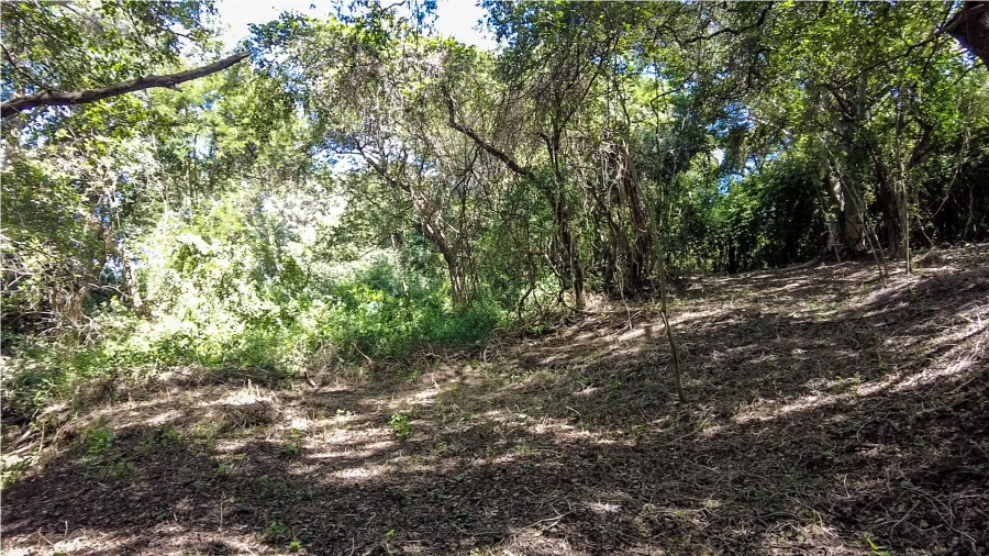 Commercial Property for Sale in Malelane Rural Mpumalanga
