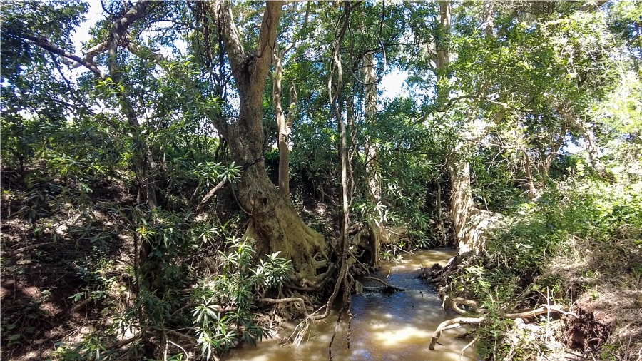 Commercial Property for Sale in Malelane Rural Mpumalanga