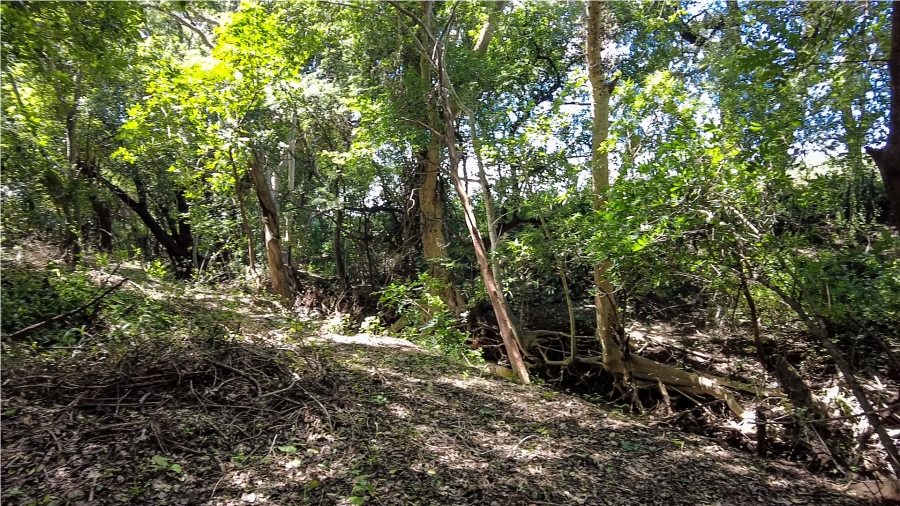 Commercial Property for Sale in Malelane Rural Mpumalanga