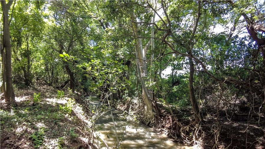 Commercial Property for Sale in Malelane Rural Mpumalanga