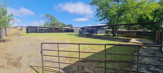 3 Bedroom Property for Sale in Bethal Mpumalanga