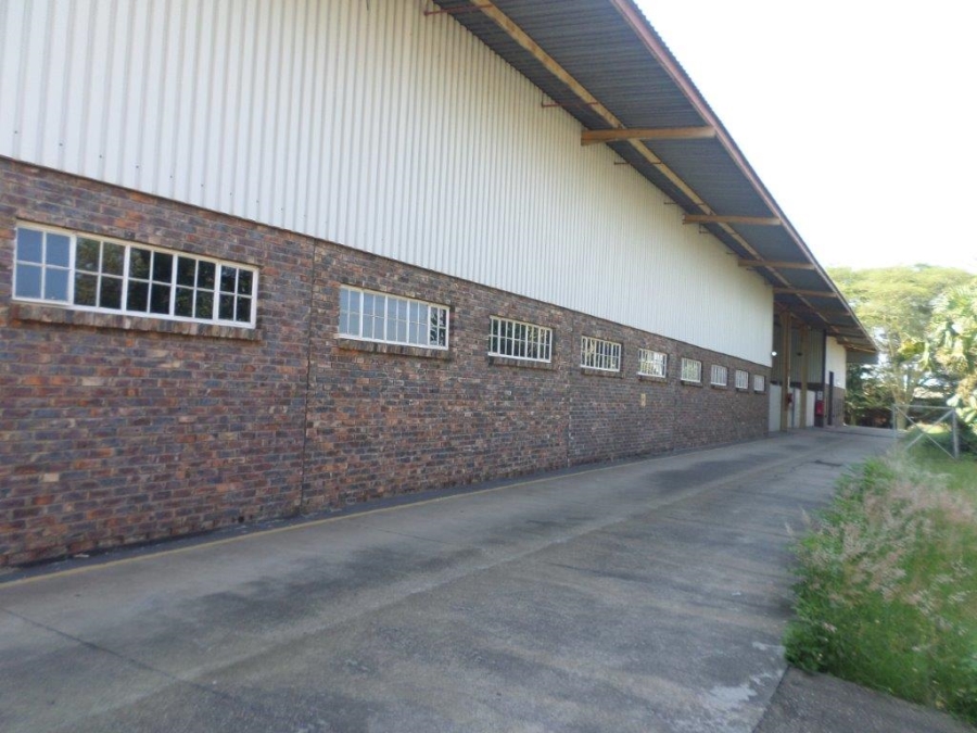 To Let Commercial Property for Rent in Vintonia Mpumalanga