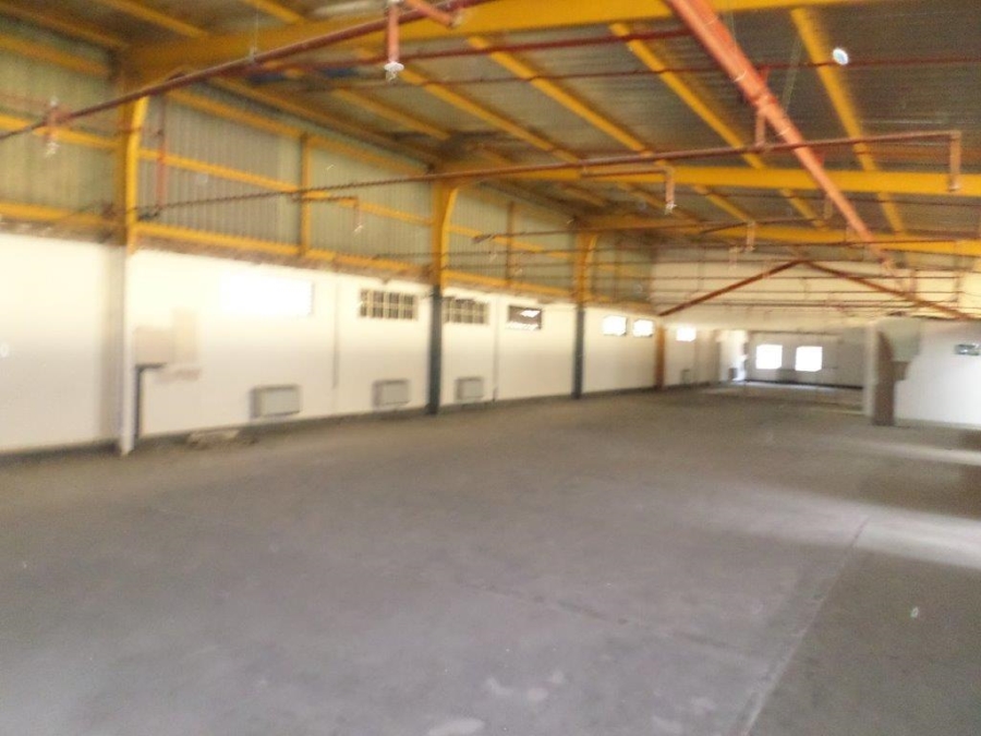 To Let Commercial Property for Rent in Vintonia Mpumalanga