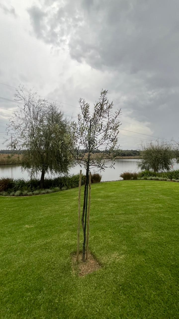 0 Bedroom Property for Sale in Roberts Estate Mpumalanga