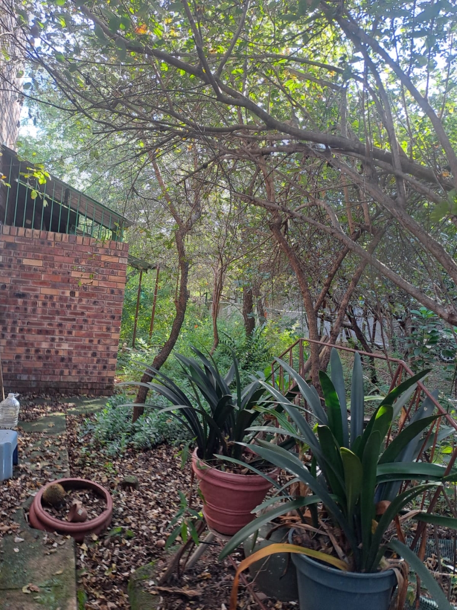 3 Bedroom Property for Sale in Marloth Park Mpumalanga