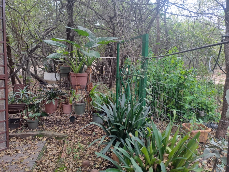 3 Bedroom Property for Sale in Marloth Park Mpumalanga