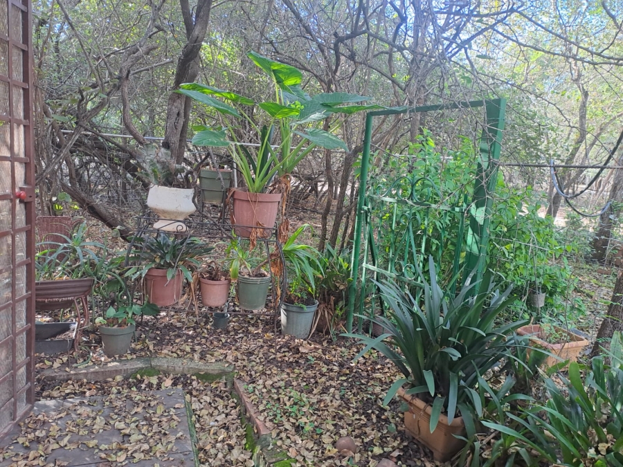 3 Bedroom Property for Sale in Marloth Park Mpumalanga