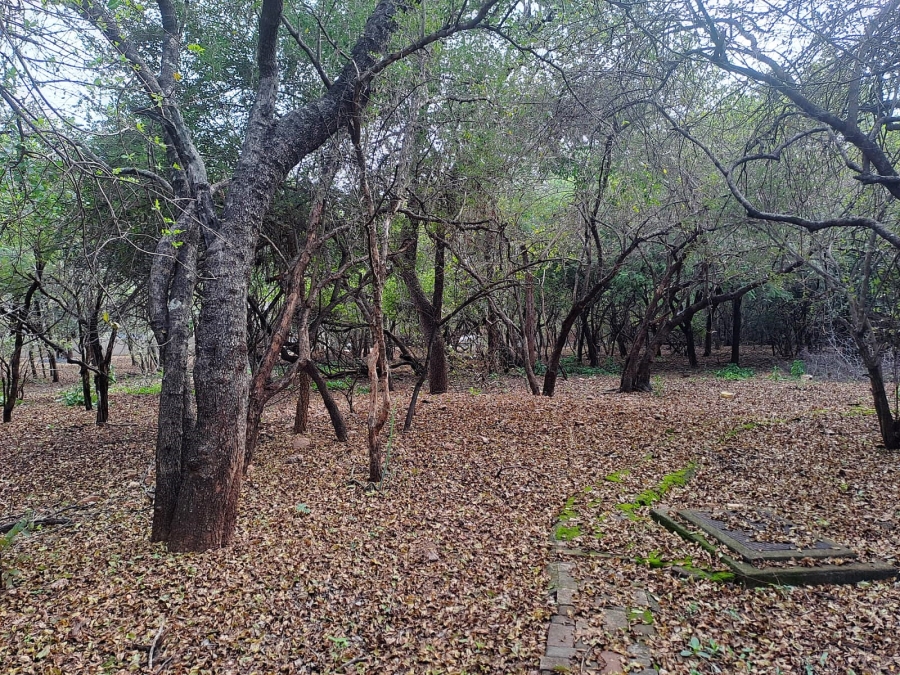 3 Bedroom Property for Sale in Marloth Park Mpumalanga