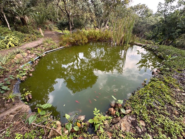 3 Bedroom Property for Sale in Nelspruit Rural Mpumalanga