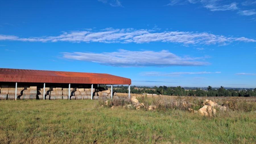 Commercial Property for Sale in Delmas Rural Mpumalanga