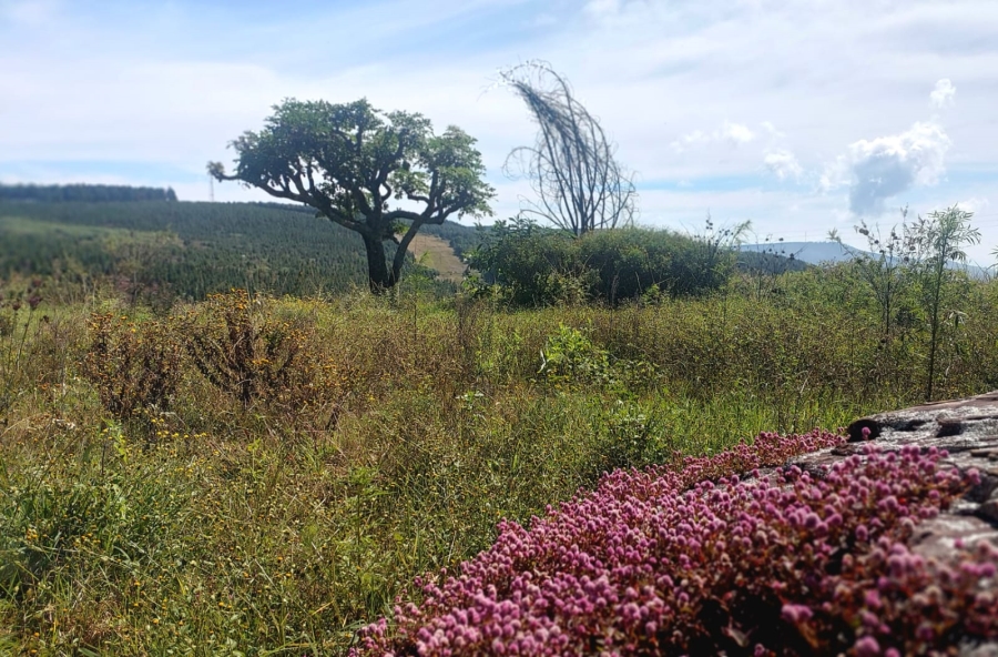 0 Bedroom Property for Sale in Kaapschehoop Mpumalanga